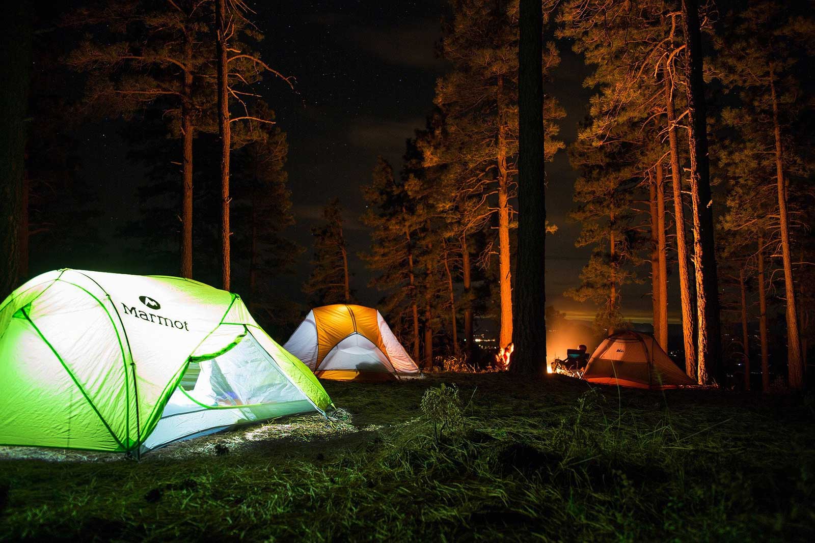 tent green shining on green